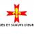 Guides et Scouts d’Europe